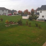 IMAG0034