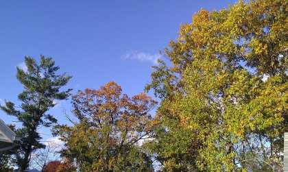 Rhyme_SamplePhoto3