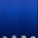 Sense4