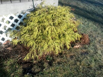 DROID-RAZR-ExamplePhoto-04