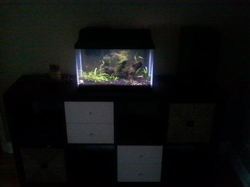 AT&T Samsung Captivate 5MP picture samples & 720p footage 8