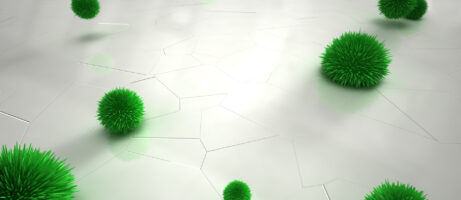 Download the New Motorola XYBoard Wallpapers Now 8
