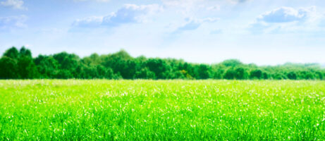 Download the New Motorola XYBoard Wallpapers Now 9
