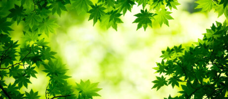Download the New Motorola XYBoard Wallpapers Now 10