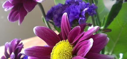 Sample Photos Show Off HTC ImageSense 7
