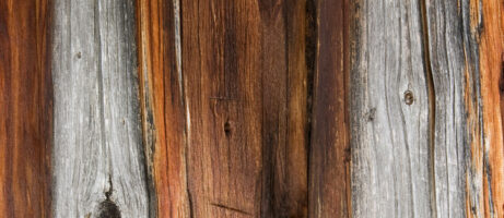 Moto X wallpapers now available to download 7
