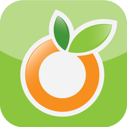 Our_Groceries_Shopping_List