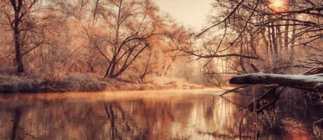Sony Xperia Z1 wallpapers now available to download 29