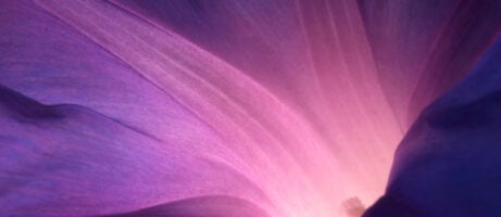 Sony Xperia Z1 wallpapers now available to download 7