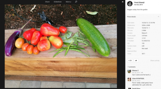 Nexus Vegetables 1
