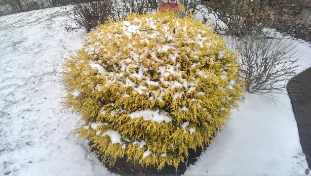 HTC_One_Max_Example_Photo_Outdoors_01