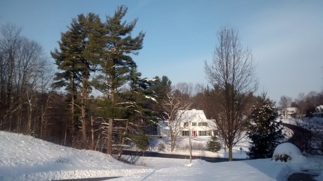 Moto_G_Example_Photo_Outdoors_Good_Light_01