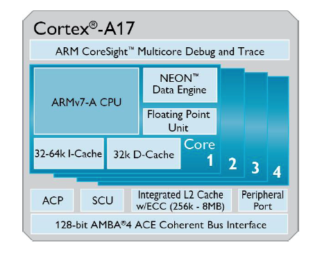 cortexa17