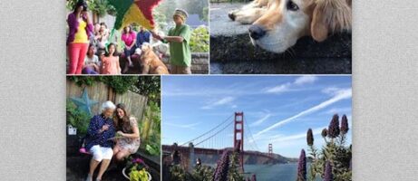 Adobe Revel, a new photo and video management app, is now available in the Play Store 4