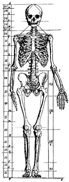 google_baseline_skeleton