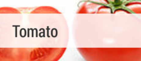 [New Android Wear App] Attopedia brings Wikipedia to your wrist 4