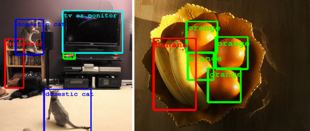 Googleimagesportlight1