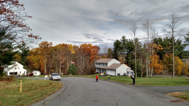 DROID_Turbo_Example_Photo_Outdoors_01