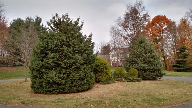 DROID_Turbo_Example_Photo_Outdoors_02