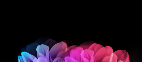 LG G Flex 2 wallpapers now available for download 11