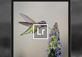 Adobe updates Lightroom app with support for RAW files, other improvements 10