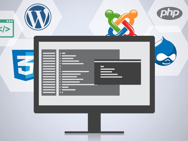 ostraining developer courses