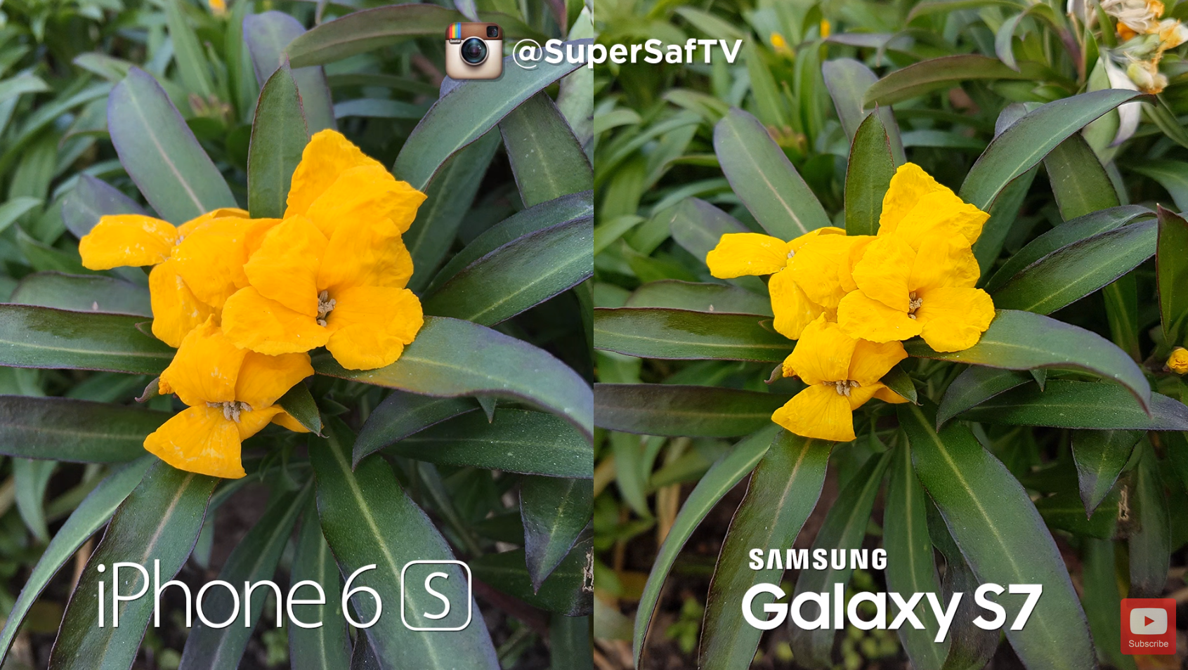 This guy put the Galaxy S7 against the iPhone 6S in a camera shootout 5
