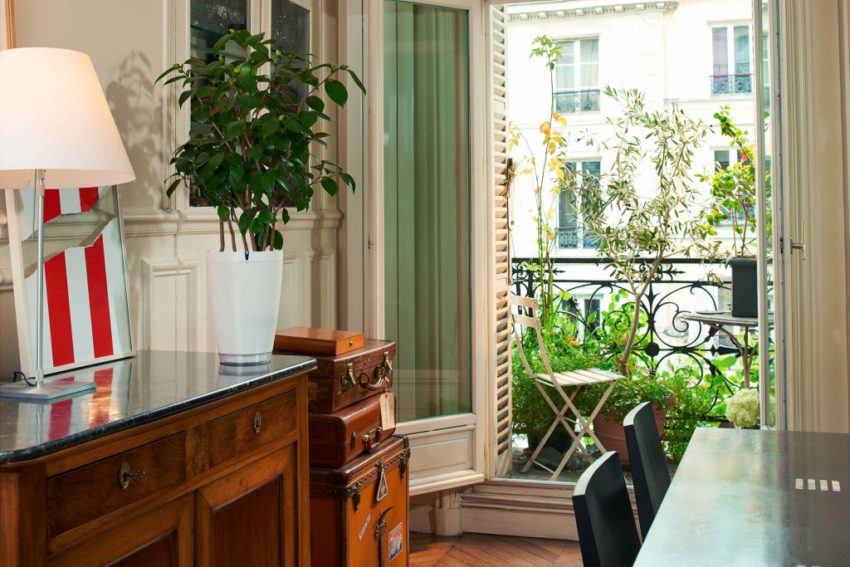 parrot_pot_official_white_house
