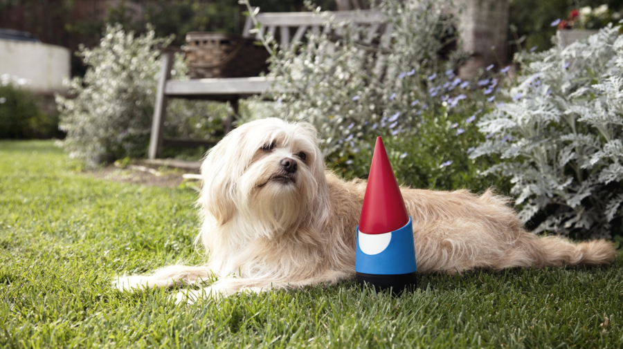 Google Gnome makes smart lawns accessible to everyone 5