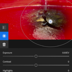 Redesigned Adobe Lightroom for Android announced 5