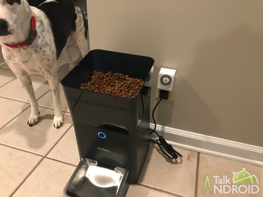 Petnet SmartFeeder review 9
