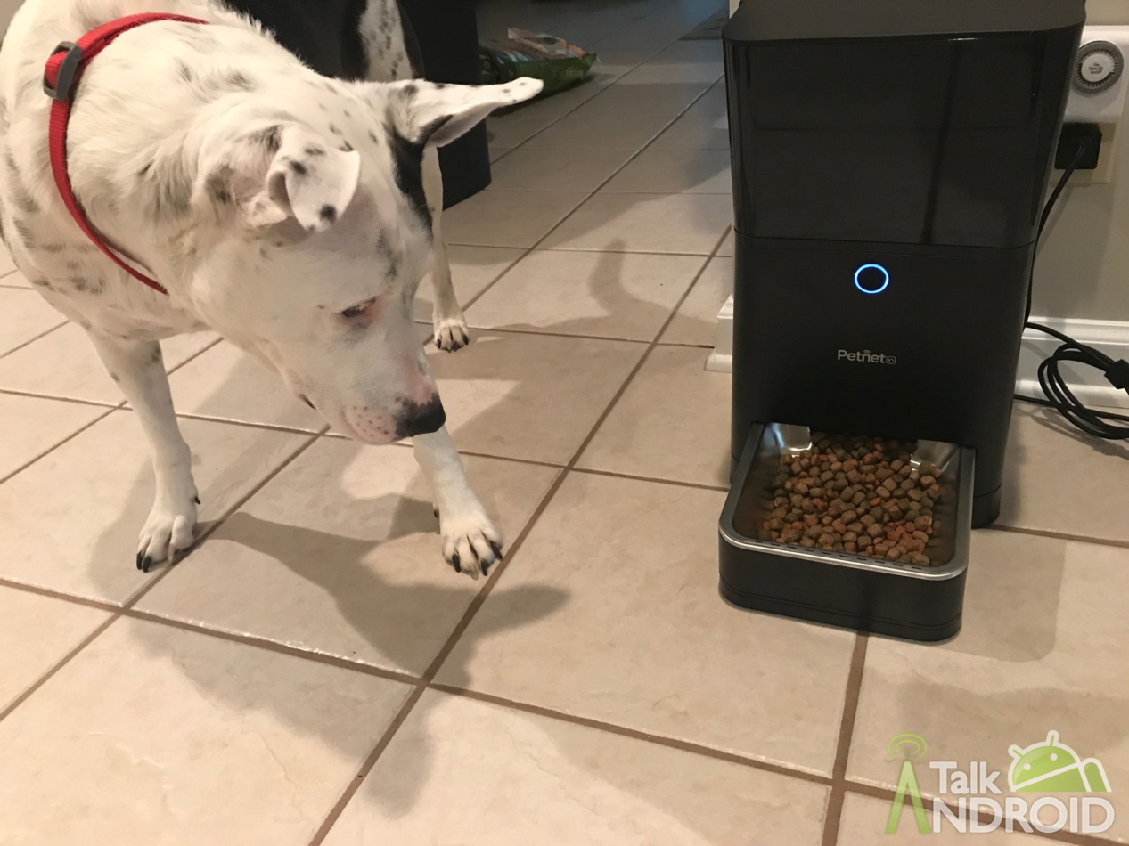 Curated visual reference: Gallery Detail: Petnet Smartfeeder Review