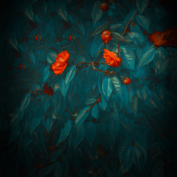 [Download] Grab the Mate 20 Wallpapers, Live Wallpapers, and Themes here 6