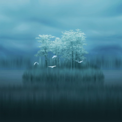 [Download] Grab the Mate 20 Wallpapers, Live Wallpapers, and Themes here 15