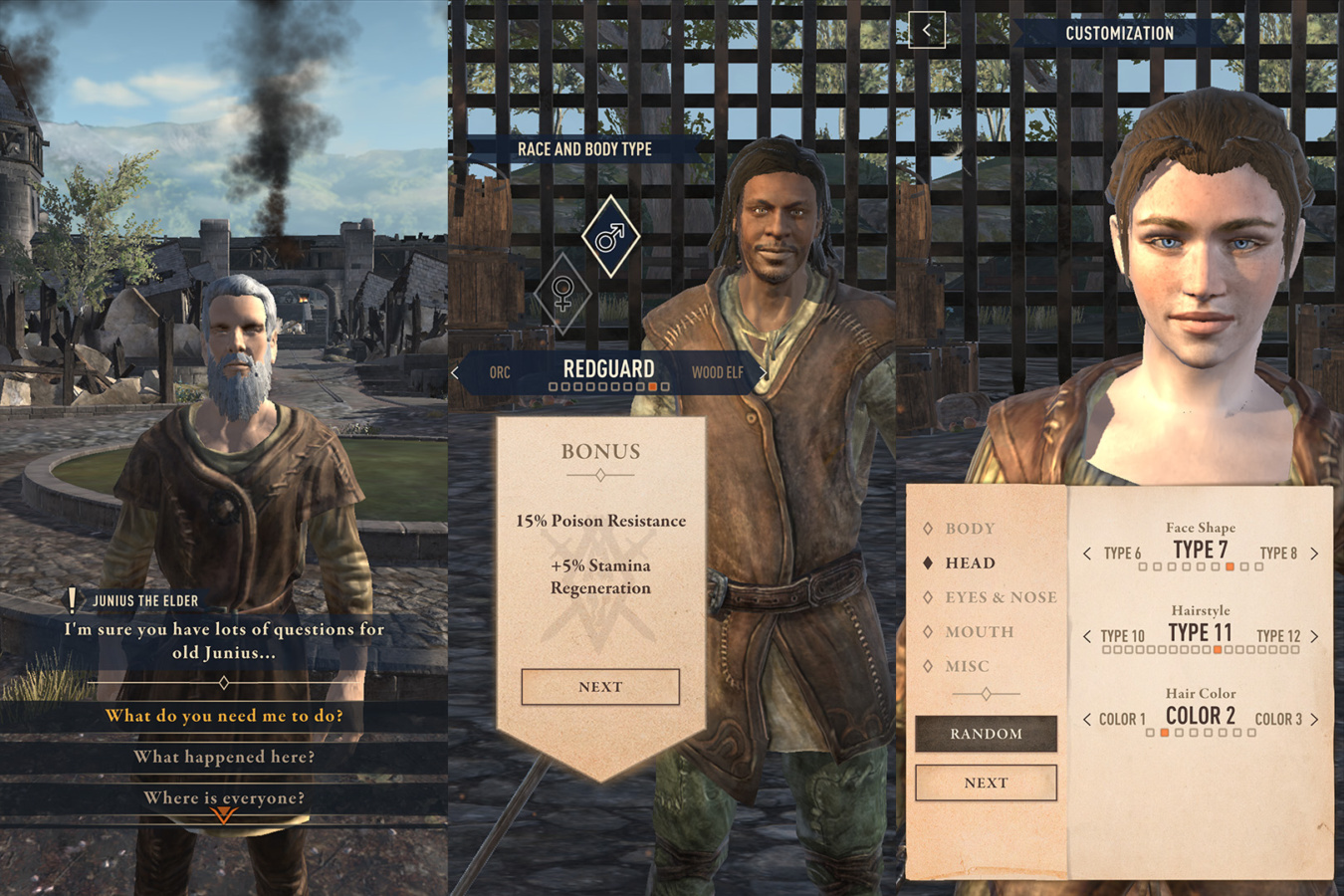 Elder Scrolls Blades early access preview: it's pretty good 8