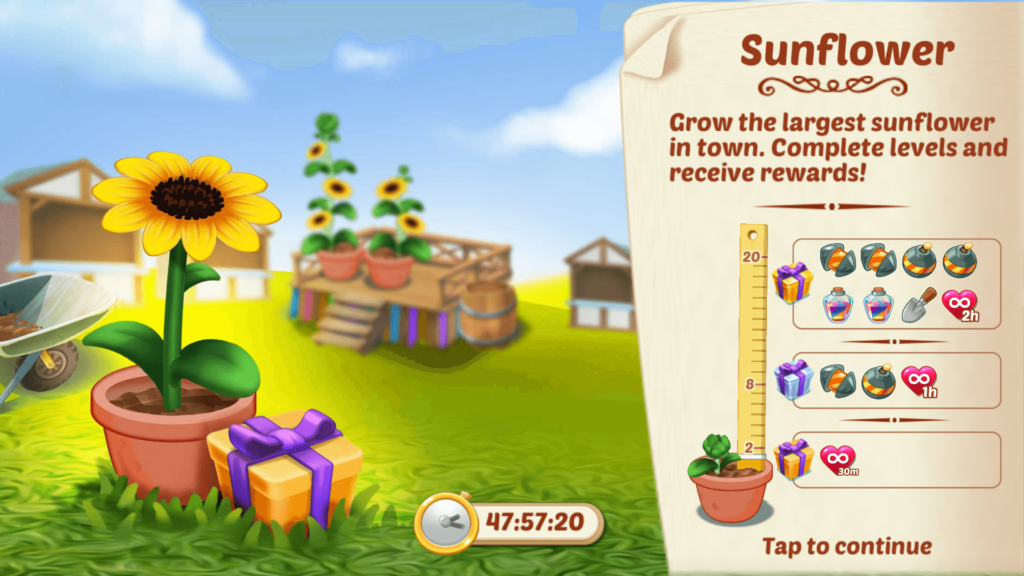 Lily's Garden Sunflower Event