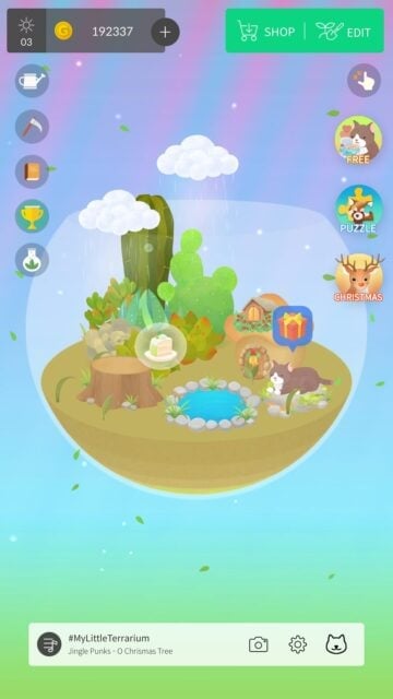 My Little Terrarium Guide: Tips, Tricks and Strategies 3