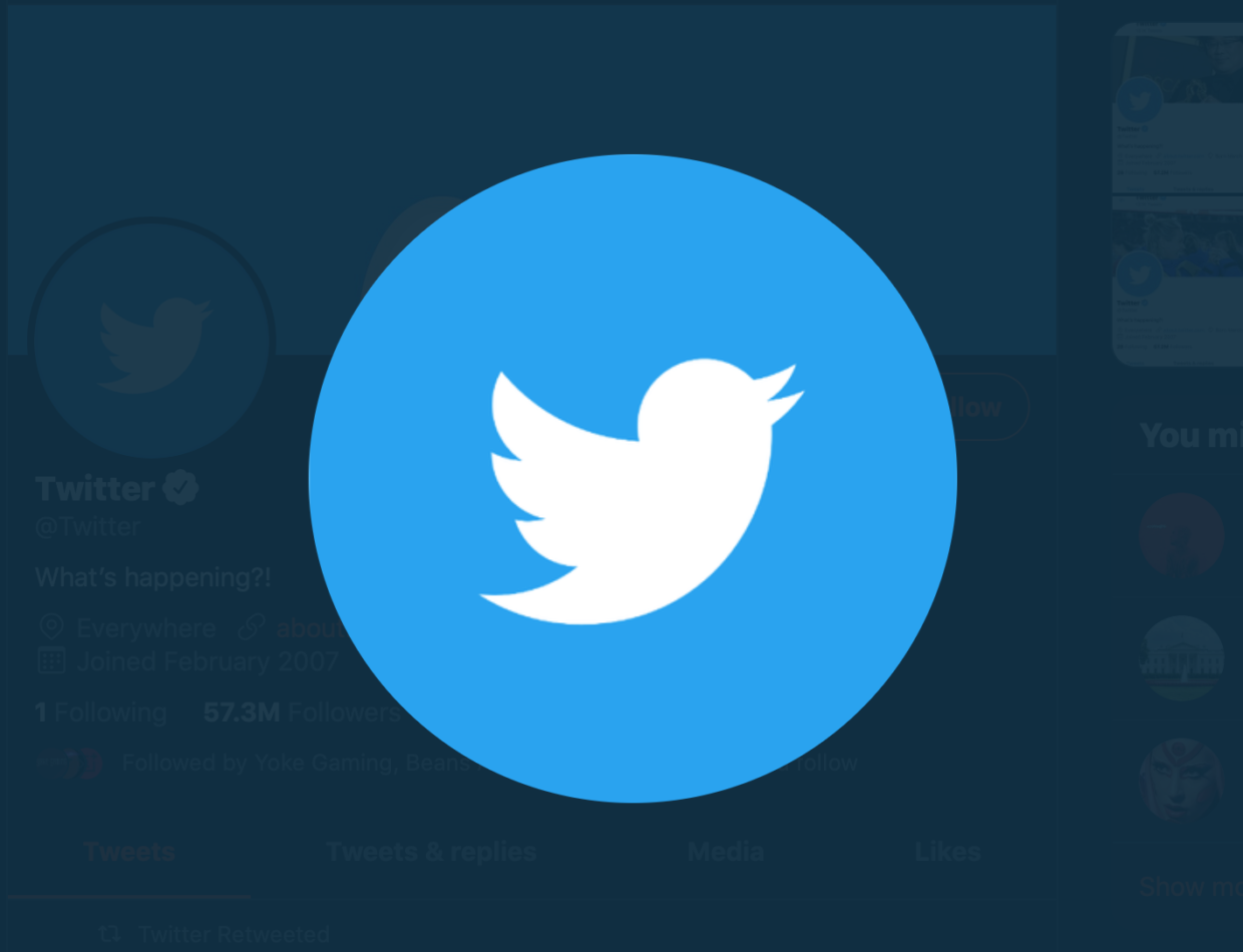 Twitter fleets