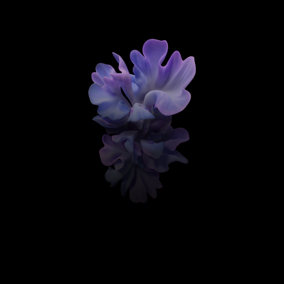 Download the Galaxy Z Flip 5G wallpapers here 7