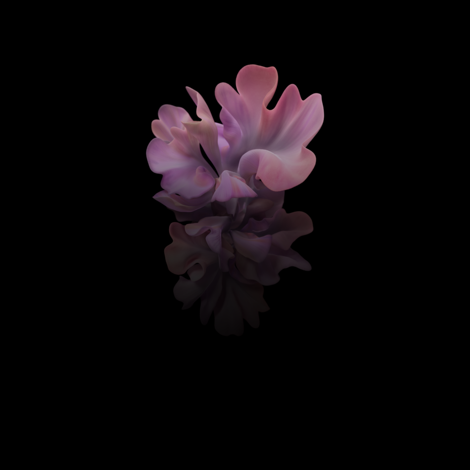 Download the Galaxy Z Flip 5G wallpapers here 9