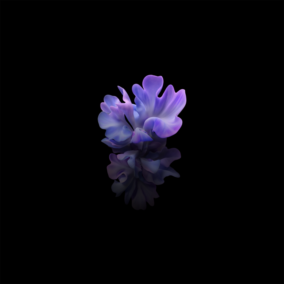 Download the Galaxy Z Flip 5G wallpapers here 3