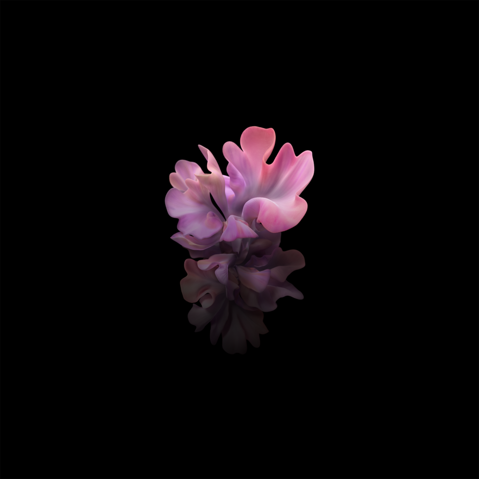 Download the Galaxy Z Flip 5G wallpapers here 4