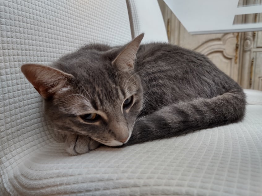 Motorola Razr 5G long-term review: A major improvement and my favorite foldable to date 24