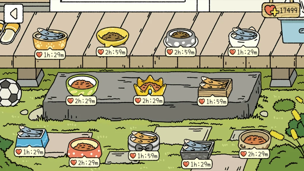 Cat food. Notice the different types of bowl. Each bowl is for a specific cat. 