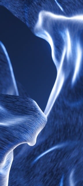 Download the leaked wallpapers for the Motorola Edge 20 here 12