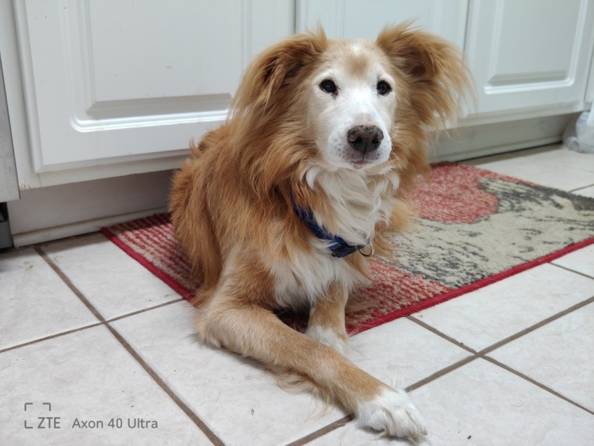 ZTE Axon 40 Ultra review: The best phone design of 2022 13