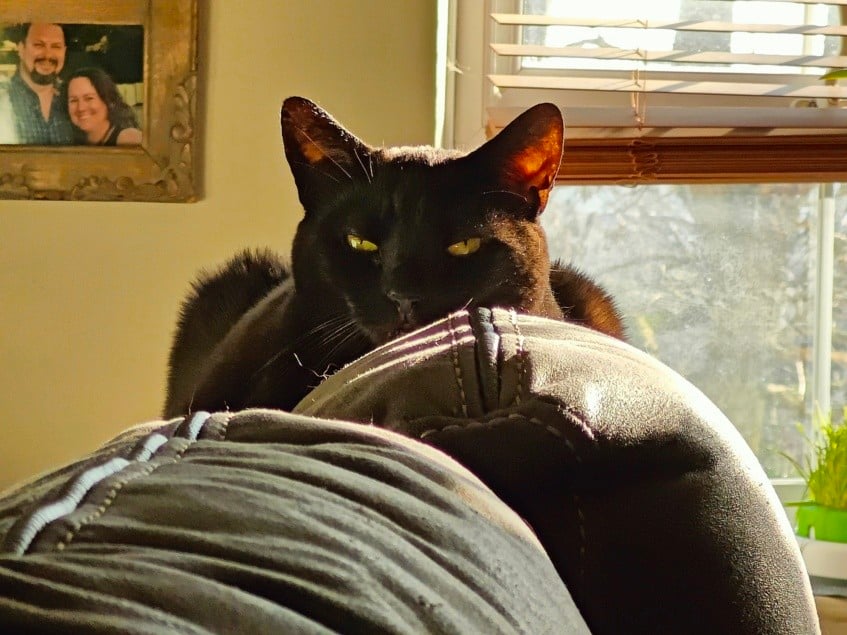 OnePlus 11 5G review: This flagship killer hits the sweet spot 24