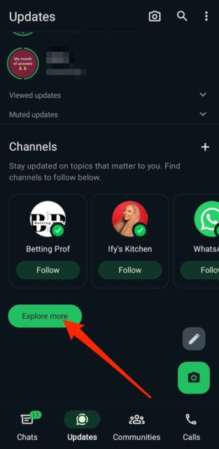 Channels section in WhatsApp Updates menu