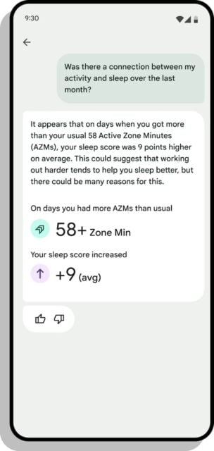 Google Fitbit AI chatbot