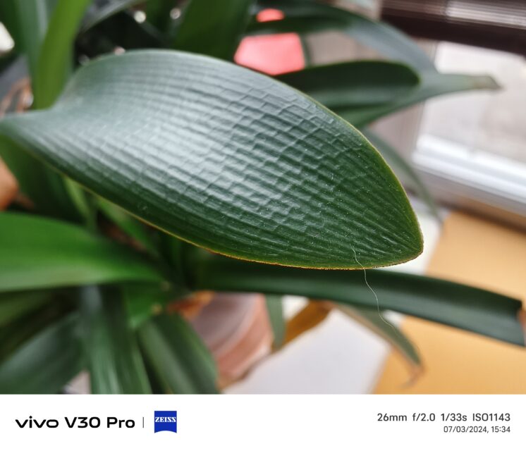 Vivo V30 Pro Review: A Midranger With Flagship Tendencies 15